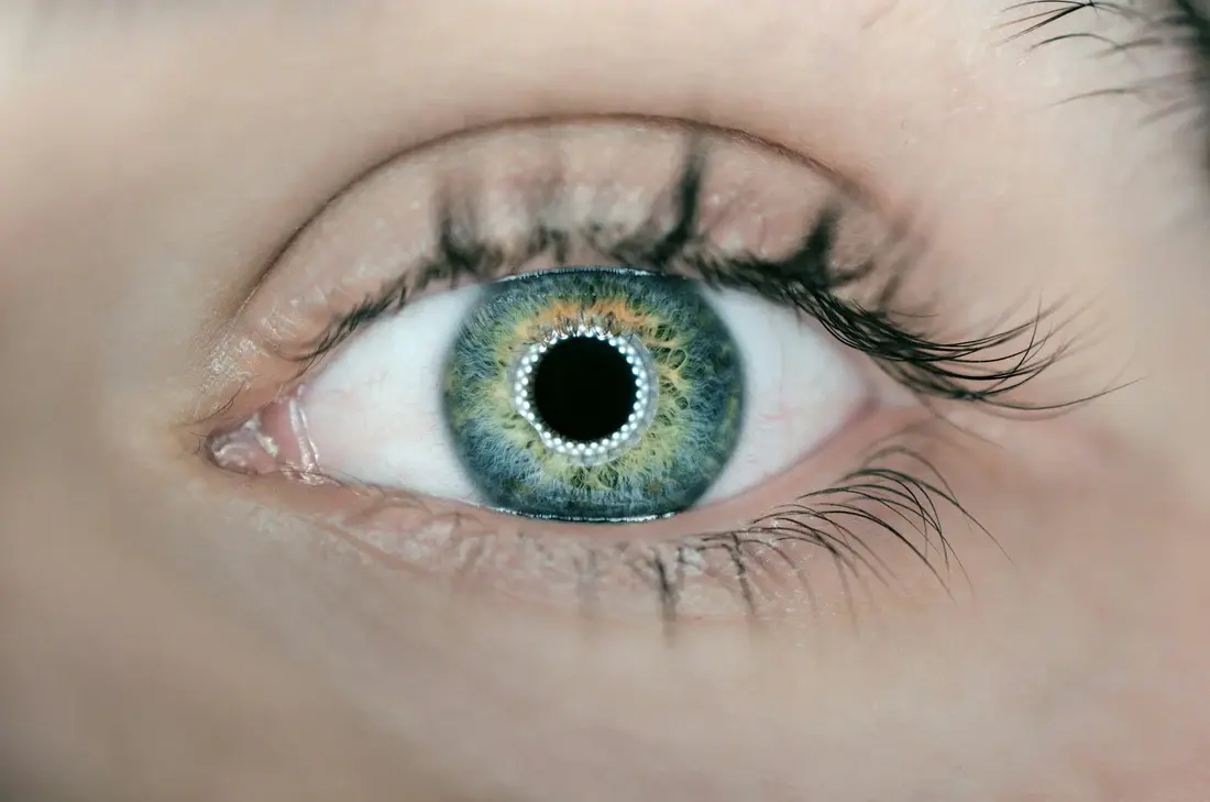 Eyes